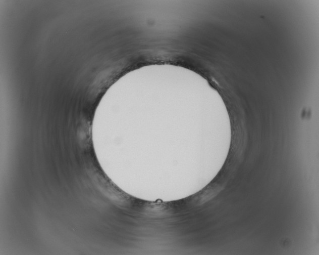 X0000111140624200907211140