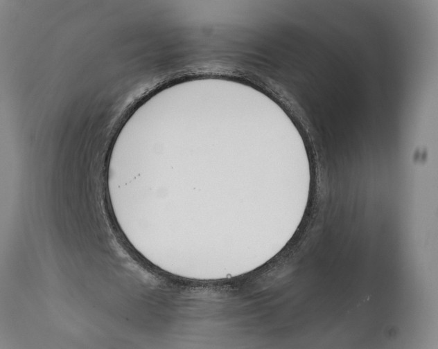 X0000111140625200907211139