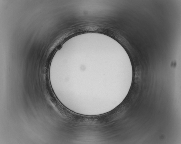 X0000111140626200907211139