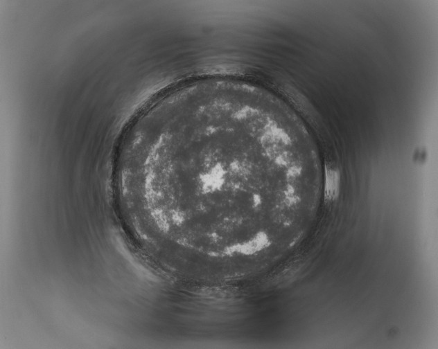 X0000111140627200907211139