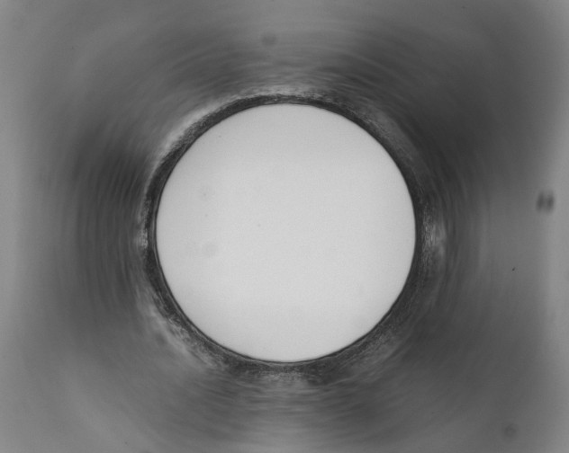 X0000111140628200907211139