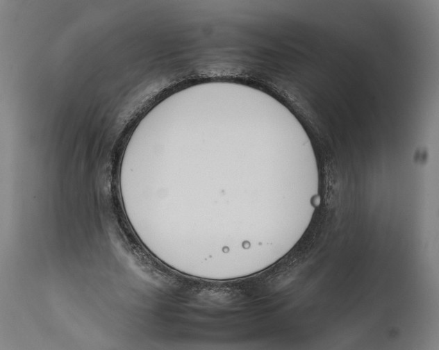 X0000111140631200907211139