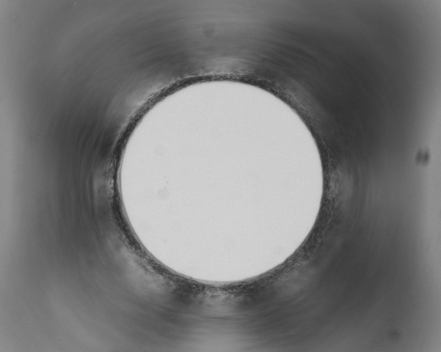 X0000111140632200907211139