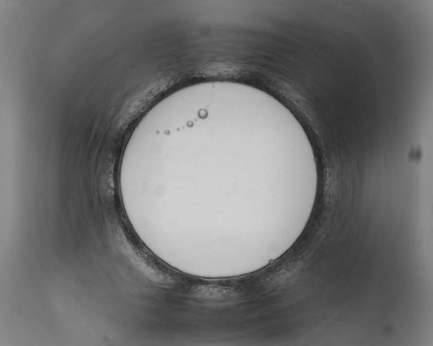 X0000111140633200907211139