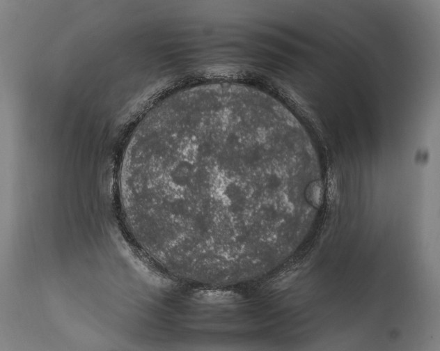 X0000111140637200907211140