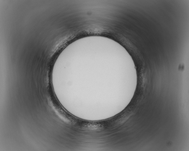 X0000111140638200907211140