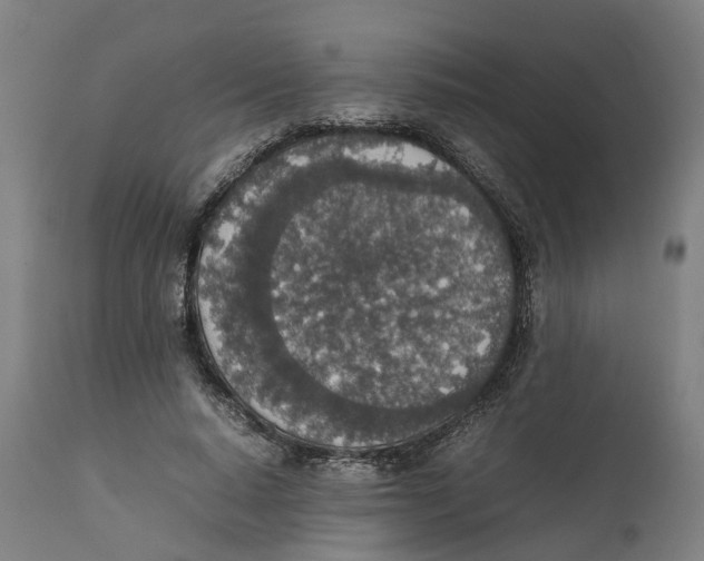 X0000111140640200907211140