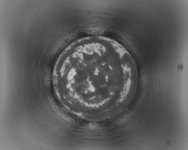 X0000111140641200907211140