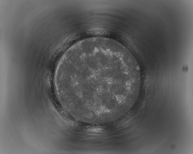 X0000111140643200907211140