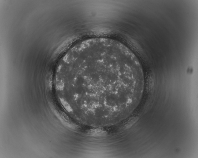 X0000111140644200907211140