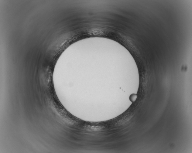 X0000111140645200907211140