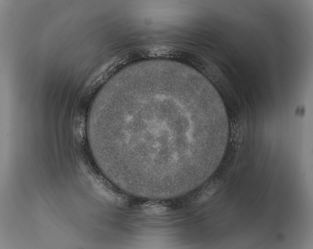 X0000111140648200907211140