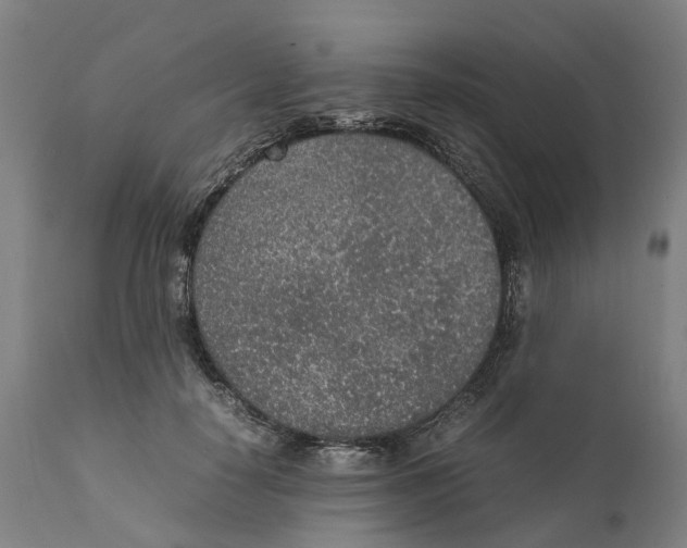 X0000111140650200907211140