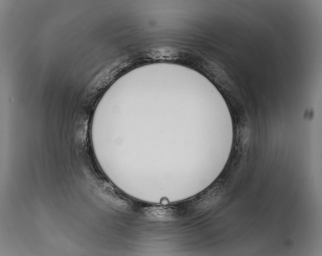 X0000111140652200907211140