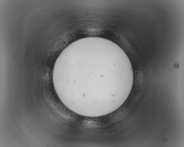 X0000111140655200907211140