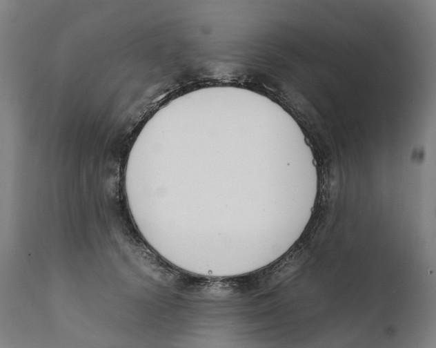 X0000111140656200907211140