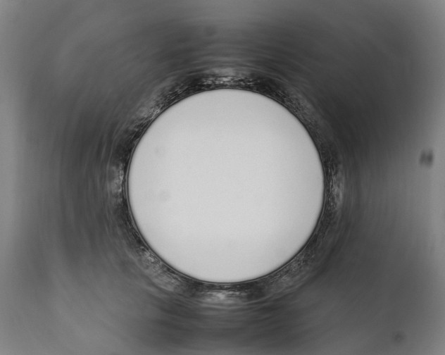 X0000111140657200907211140