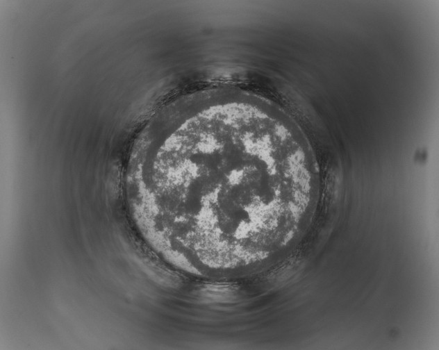 X0000111140659200907211140