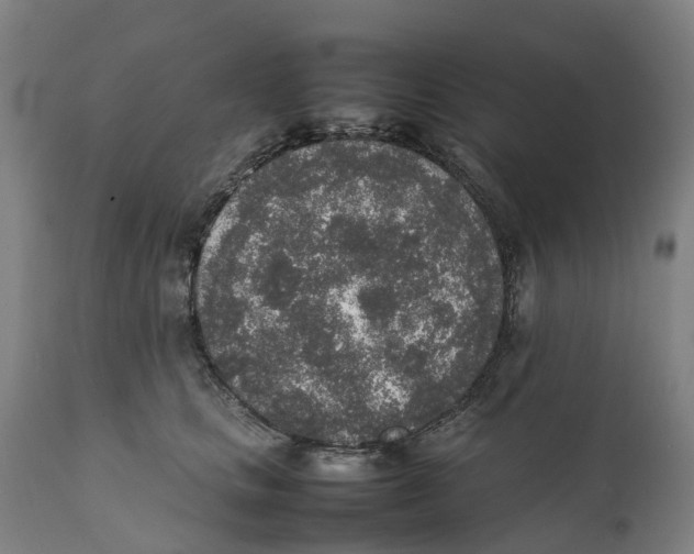 X0000111140661200907211140