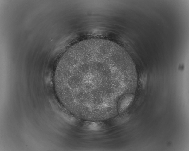 X0000111140663200907211140