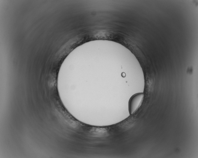 X0000111140665200907211140