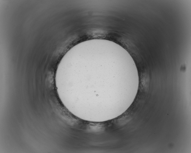 X0000111140667200907211140