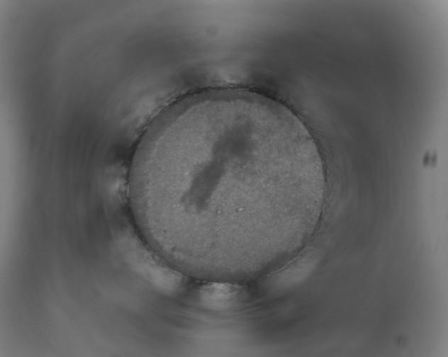 X0000111140672200907211140