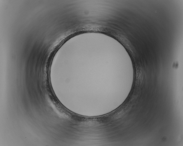 X0000111140674200907211139