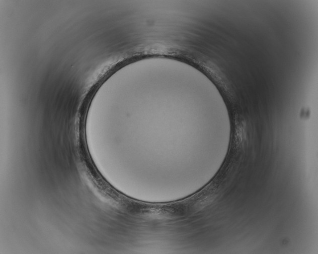 X0000111140678200907211139