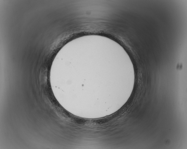 X0000111140685200907211139