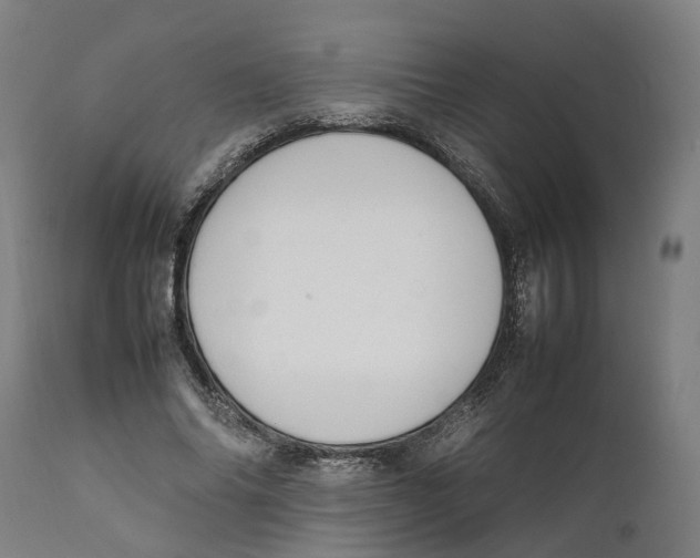 X0000111140686200907211139