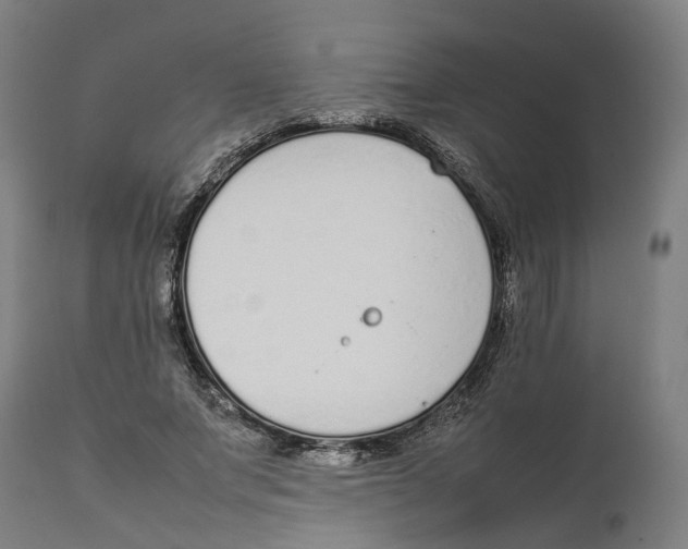 X0000111140687200907211139