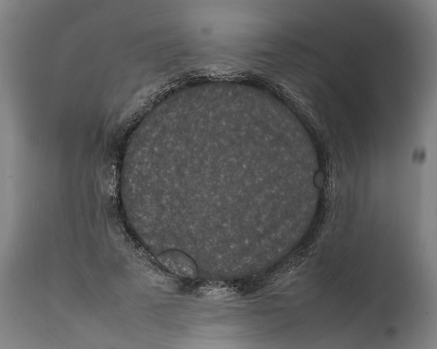 X0000111140689200907211139