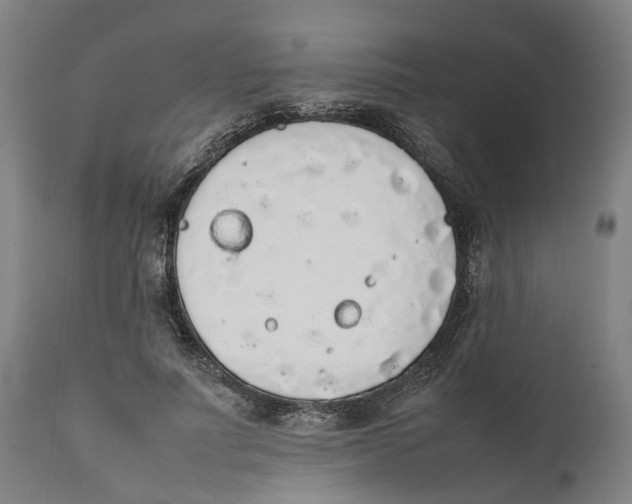 X0000111140691200907211139