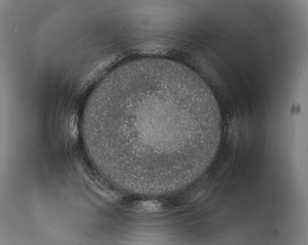 X0000111140692200907211139