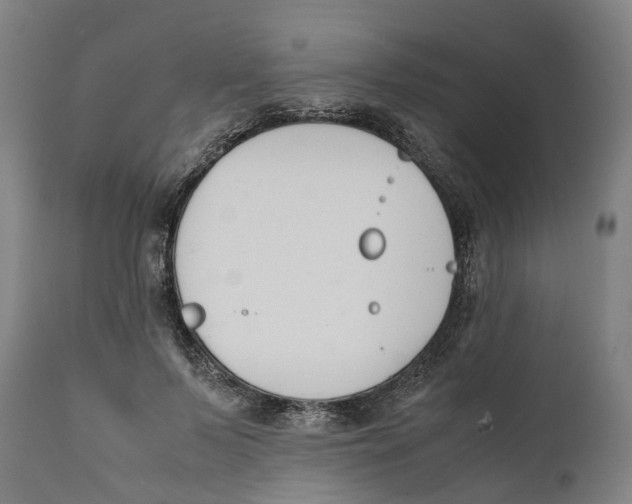 X0000111140695200907211139