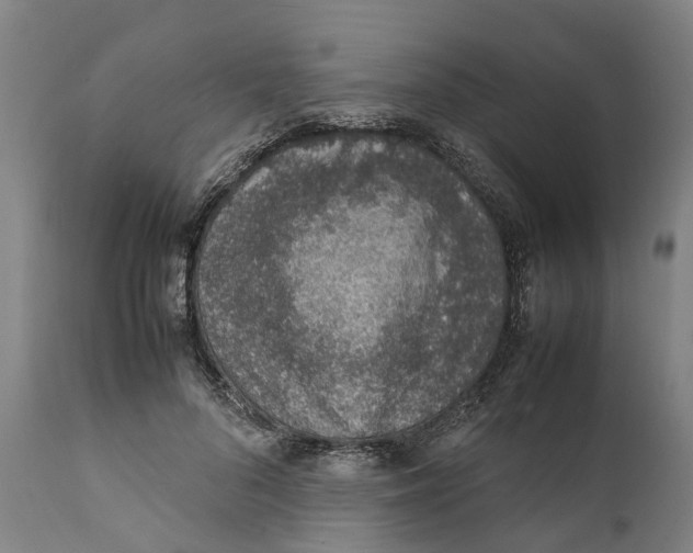 X0000111140696200907211139