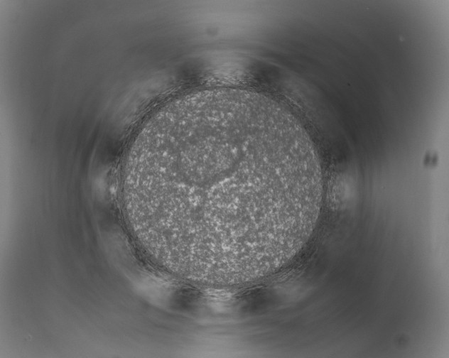 X0000111140701200907211139