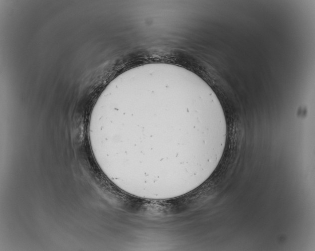 X0000111140703200907211139