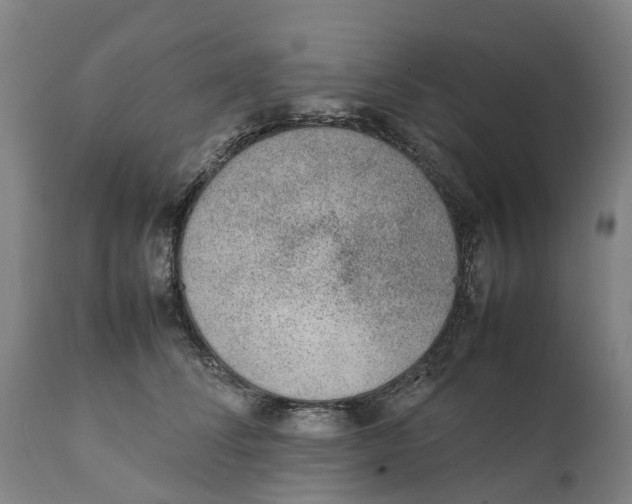 X0000111140708200907211139