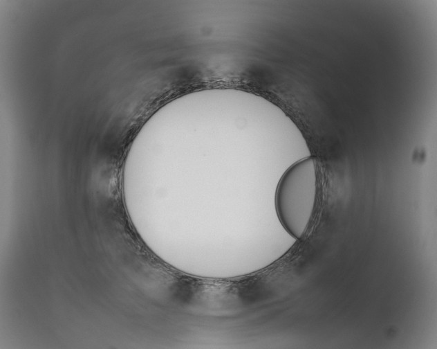 X0000111140709200907211139