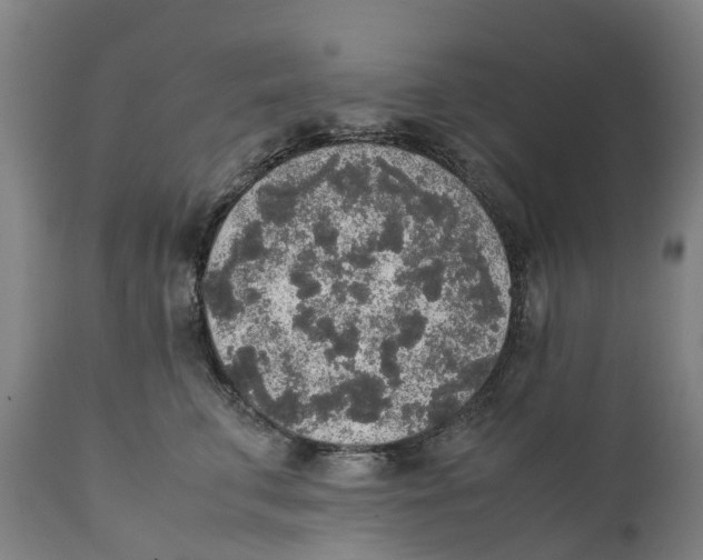 X0000111140711200907211139