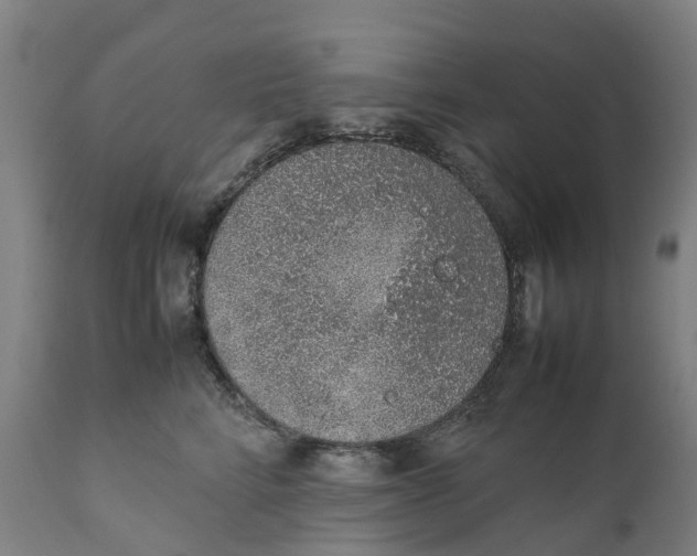 X0000111140712200907211139