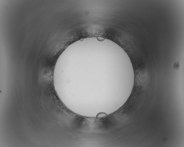 X0000111140713200907211139