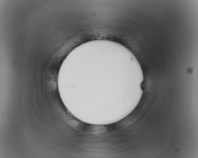 X0000111140719200907211139