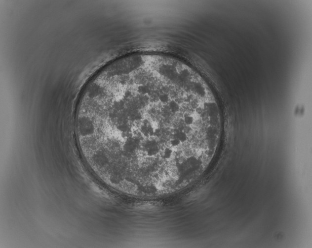 X0000111140721200907211138