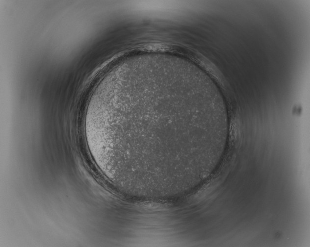 X0000111140722200907211138