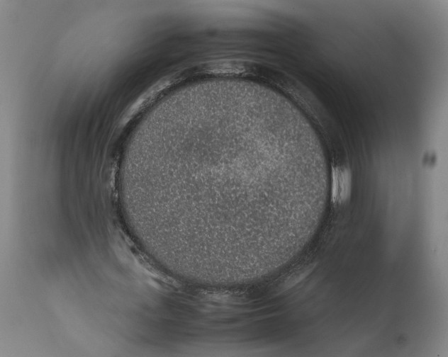 X0000111140723200907211138