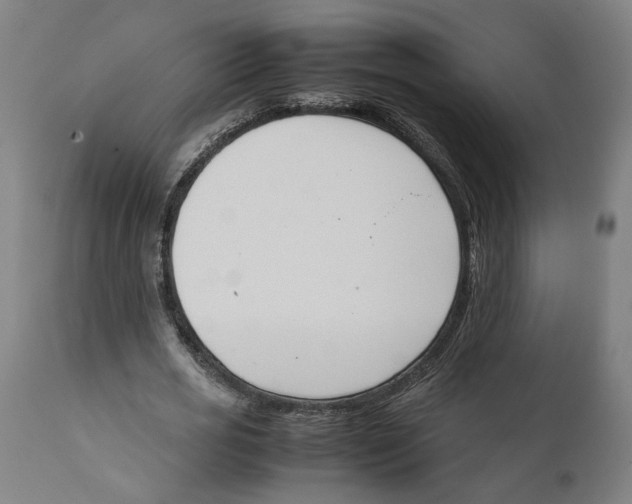 X0000111140725200907211138