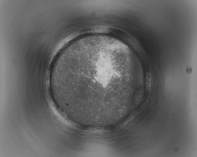 X0000111140726200907211138